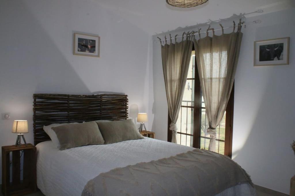 Villa Mas En Campagne Mallemort Esterno foto